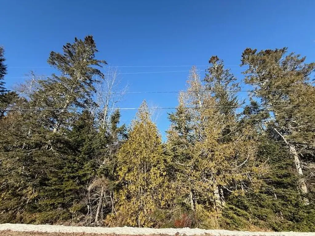 Lot 31 Gin Cove Road Perry ME 04667