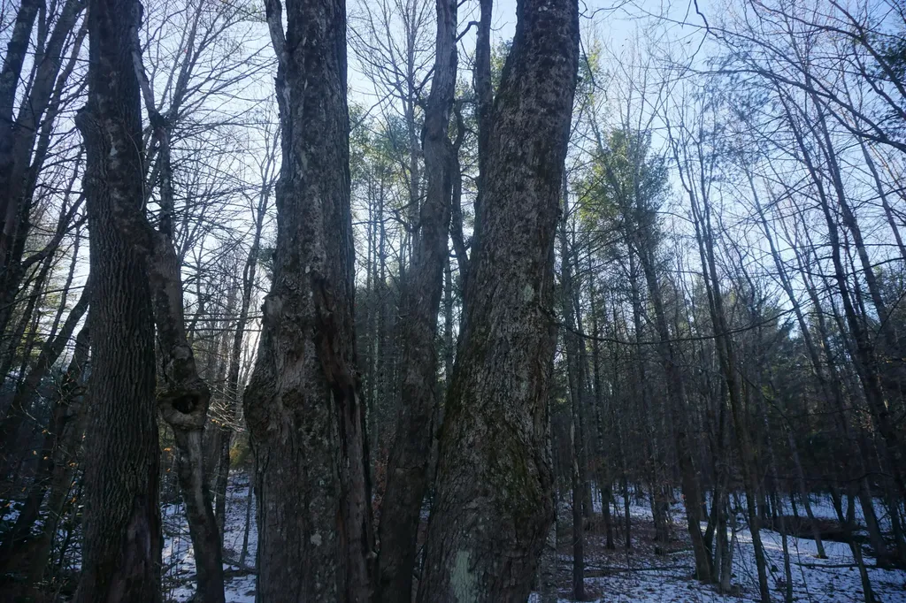 R-13-05.2 King Hill Road Paris ME 04271