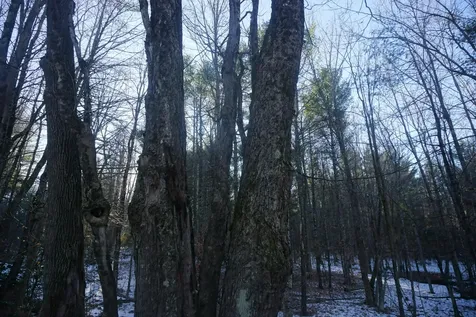 R-13-05.2 King Hill Road Paris ME 04271
