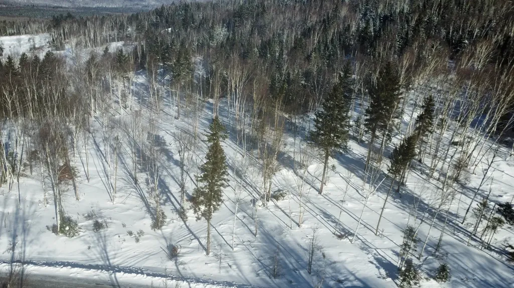 Lot 83 Johnson Lane Rangeley ME 04970