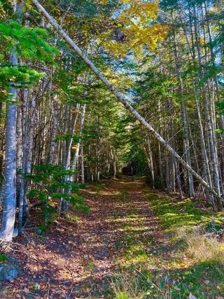 Lot 83 Johnson Lane Rangeley ME 04970