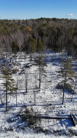 MAP17LOT53 Grant Road Orono ME 04473