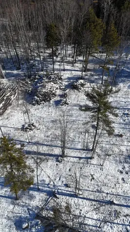 MAP17LOT53 Grant Road Orono ME 04473