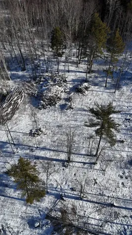 MAP17LOT53 Grant Road Orono ME 04473