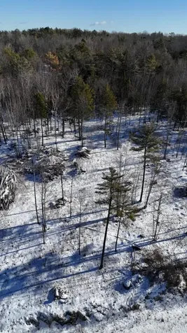 MAP17LOT53 Grant Road Orono ME 04473