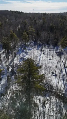 MAP17LOT53 Grant Road Orono ME 04473