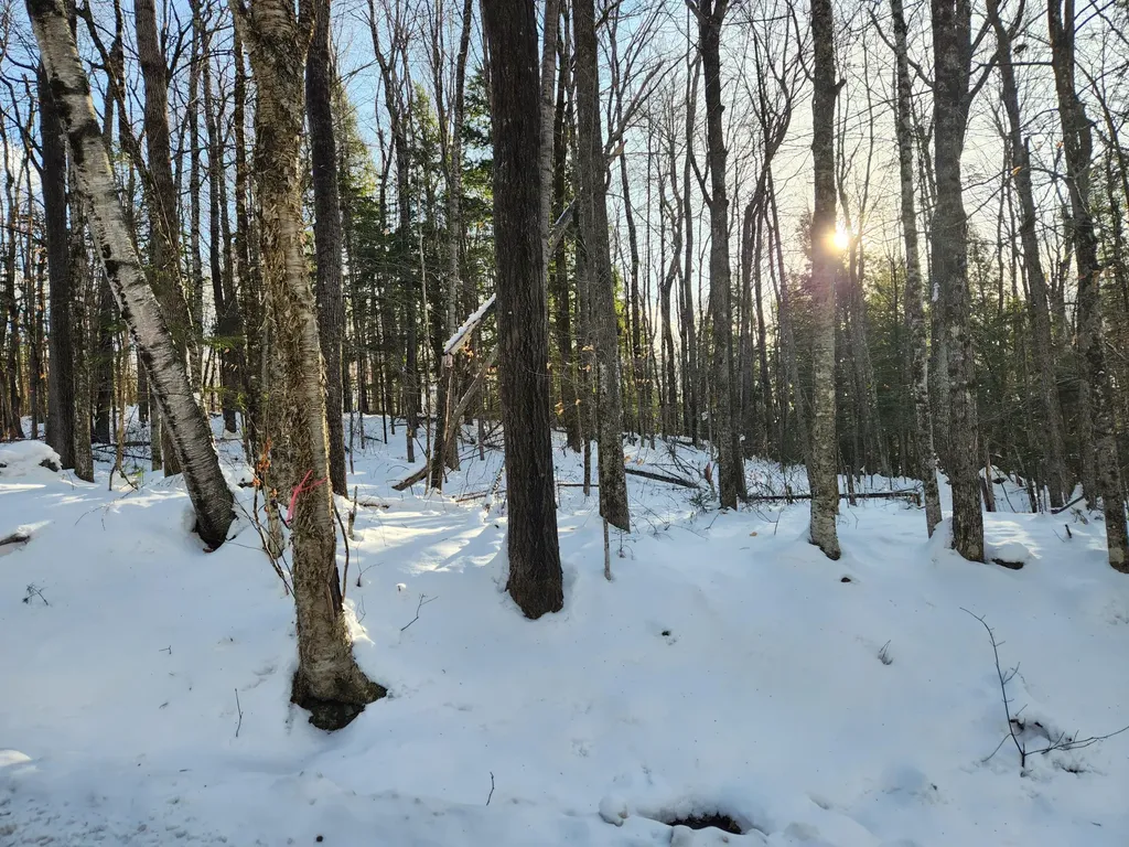 Map R15-37 Fields Hill Road Sumner ME 04292