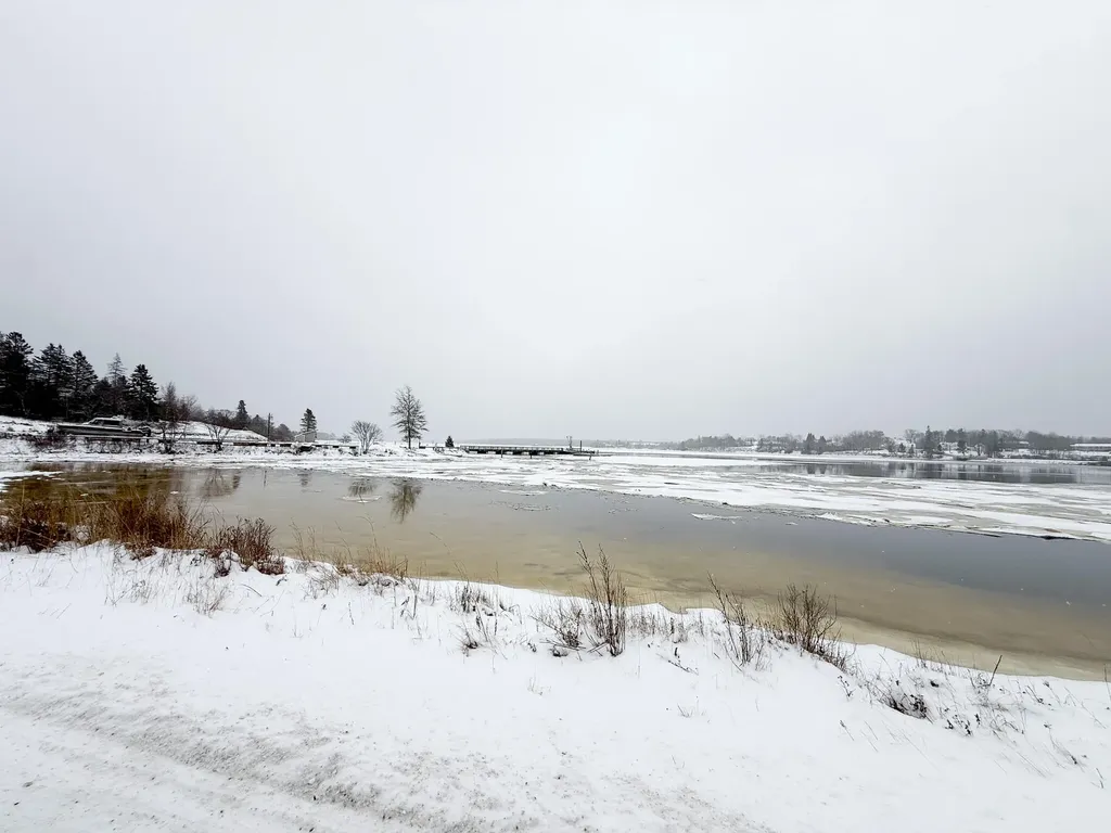 50 Ficketts Point Road Milbridge ME 04658