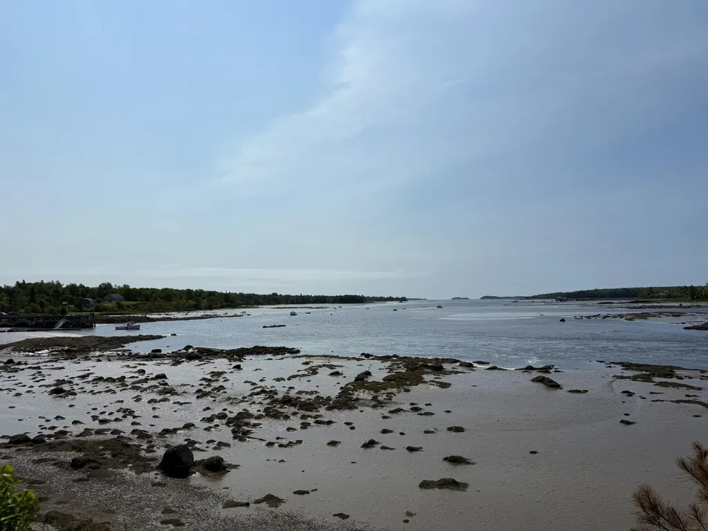 50 Ficketts Point Road Milbridge ME 04658