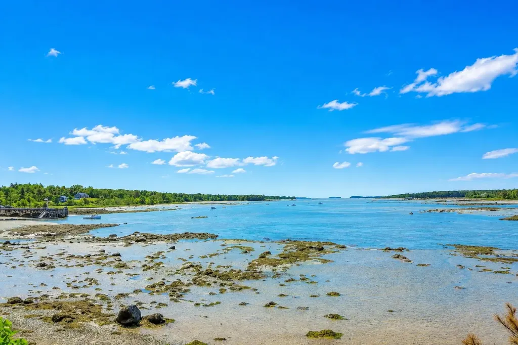 50 Ficketts Point Road Milbridge ME 04658