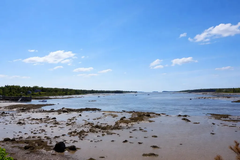 50 Ficketts Point Road Milbridge ME 04658