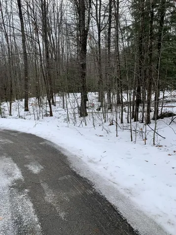 5 Airika-b Drive Lincolnville ME 04849