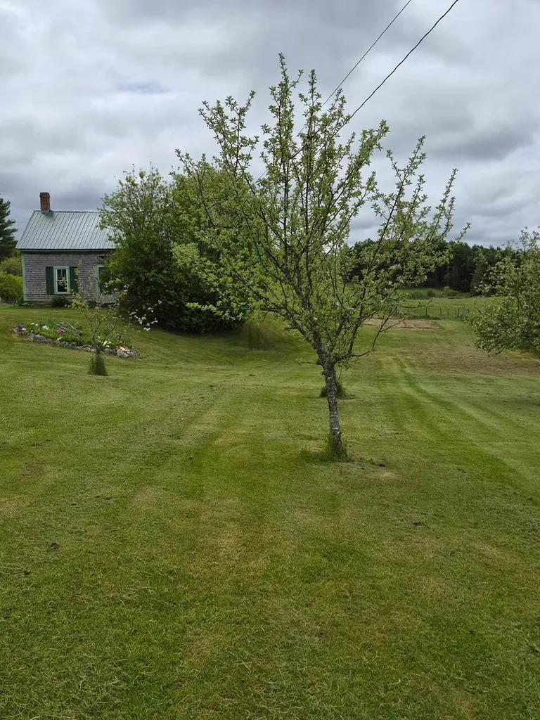 144 Harrison Road Edmunds Twp ME 04628