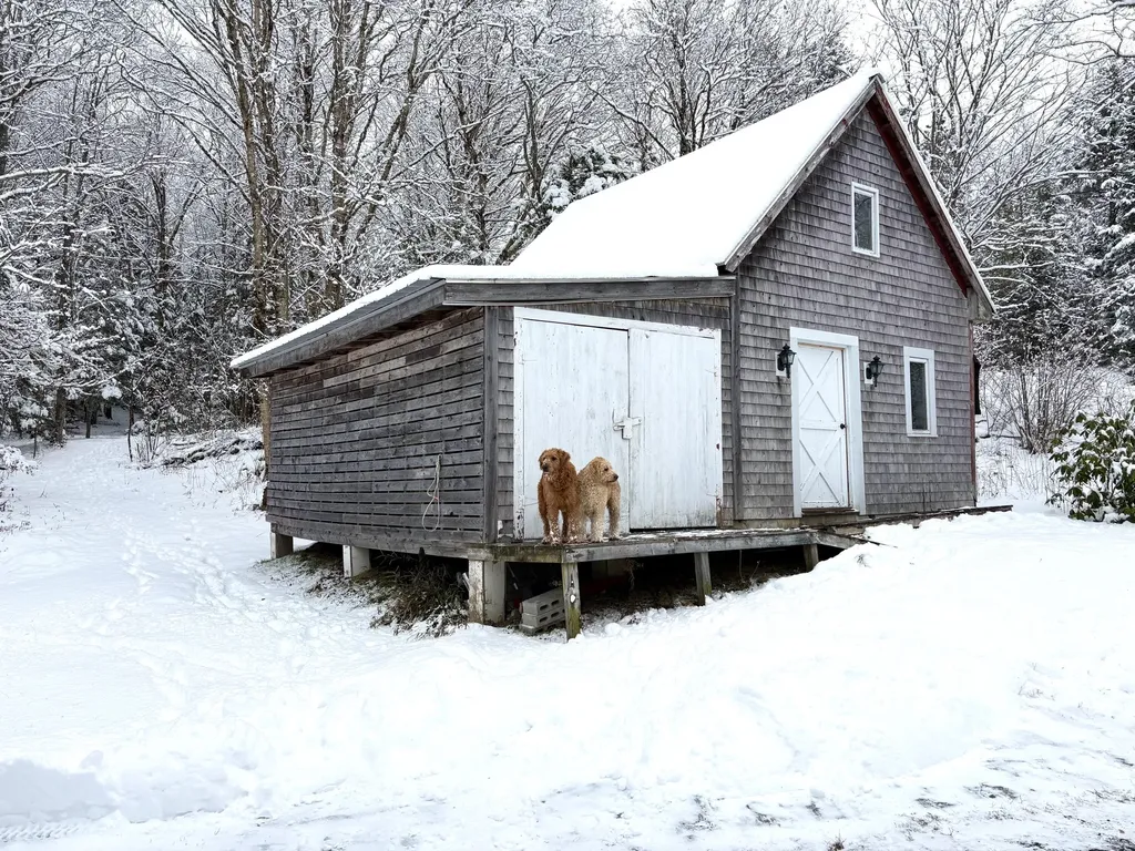 252 Ox Cove Road Pembroke ME 04666