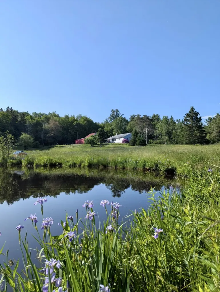 252 Ox Cove Road Pembroke ME 04666