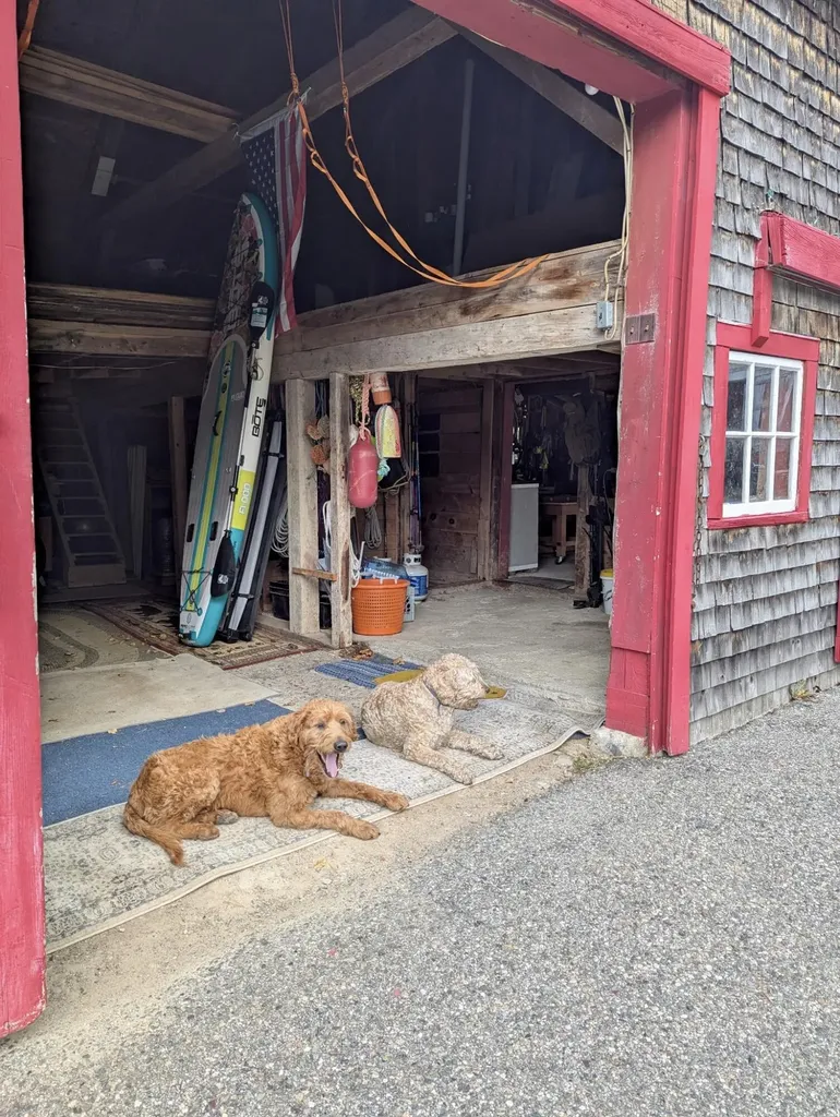 252 Ox Cove Road Pembroke ME 04666