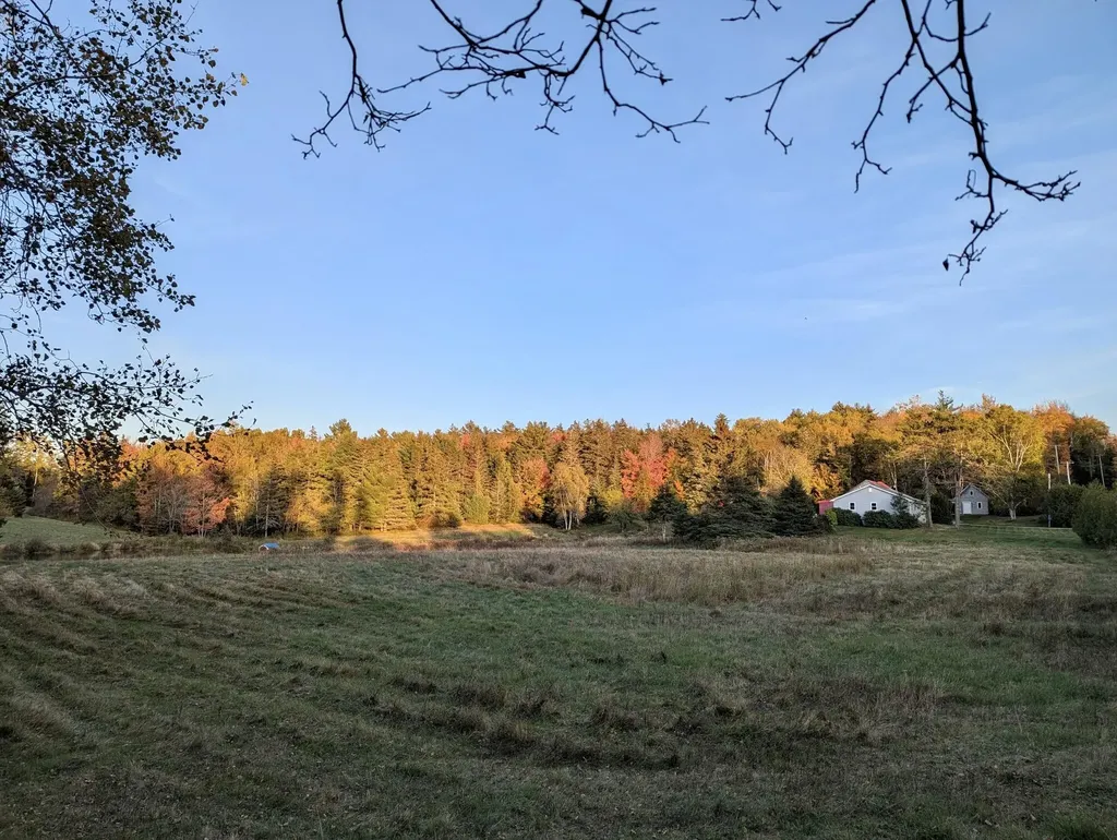 252 Ox Cove Road Pembroke ME 04666