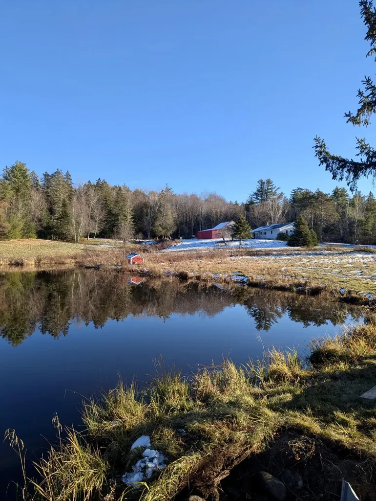 252 Ox Cove Road Pembroke ME 04666