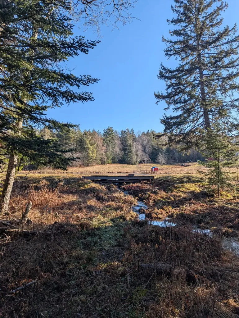 252 Ox Cove Road Pembroke ME 04666