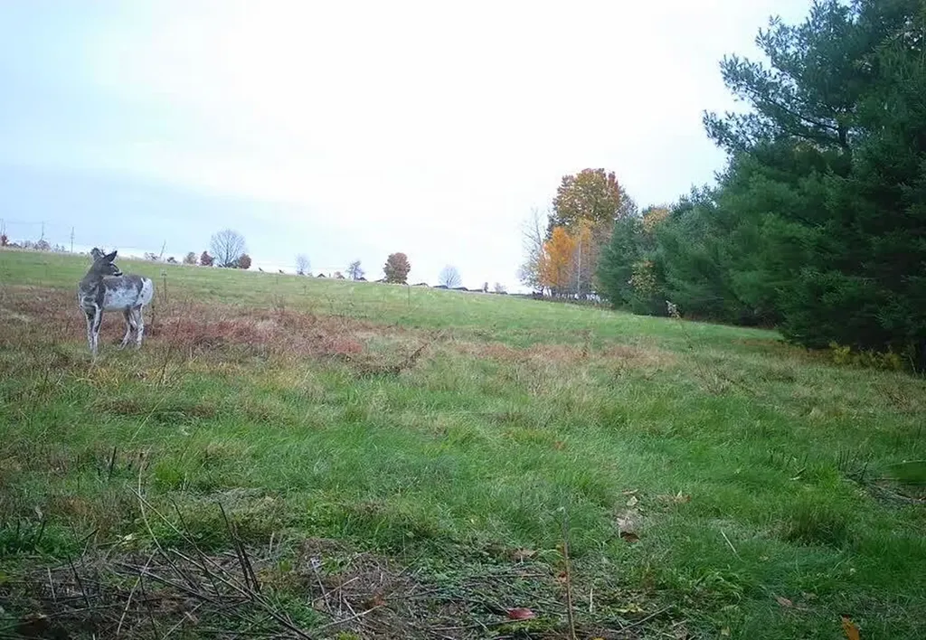 16A Pooler Road Pittsfield ME 04967