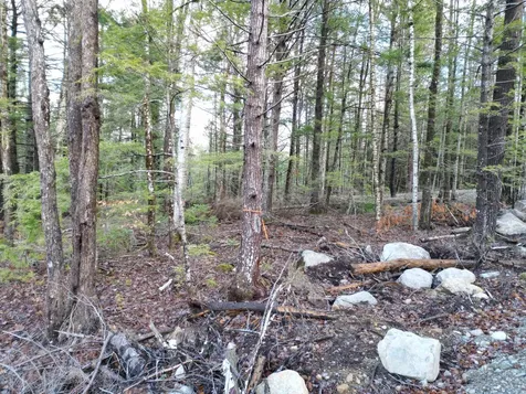 Lot 6 Beaver Cove Lincoln ME 04457
