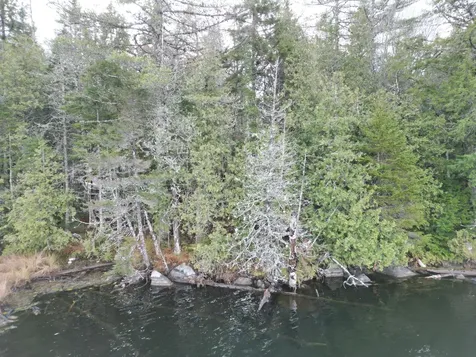 Lot 6 Beaver Cove Lincoln ME 04457