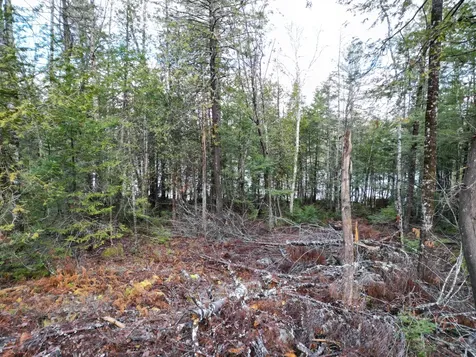 Lot 6 Beaver Cove Lincoln ME 04457