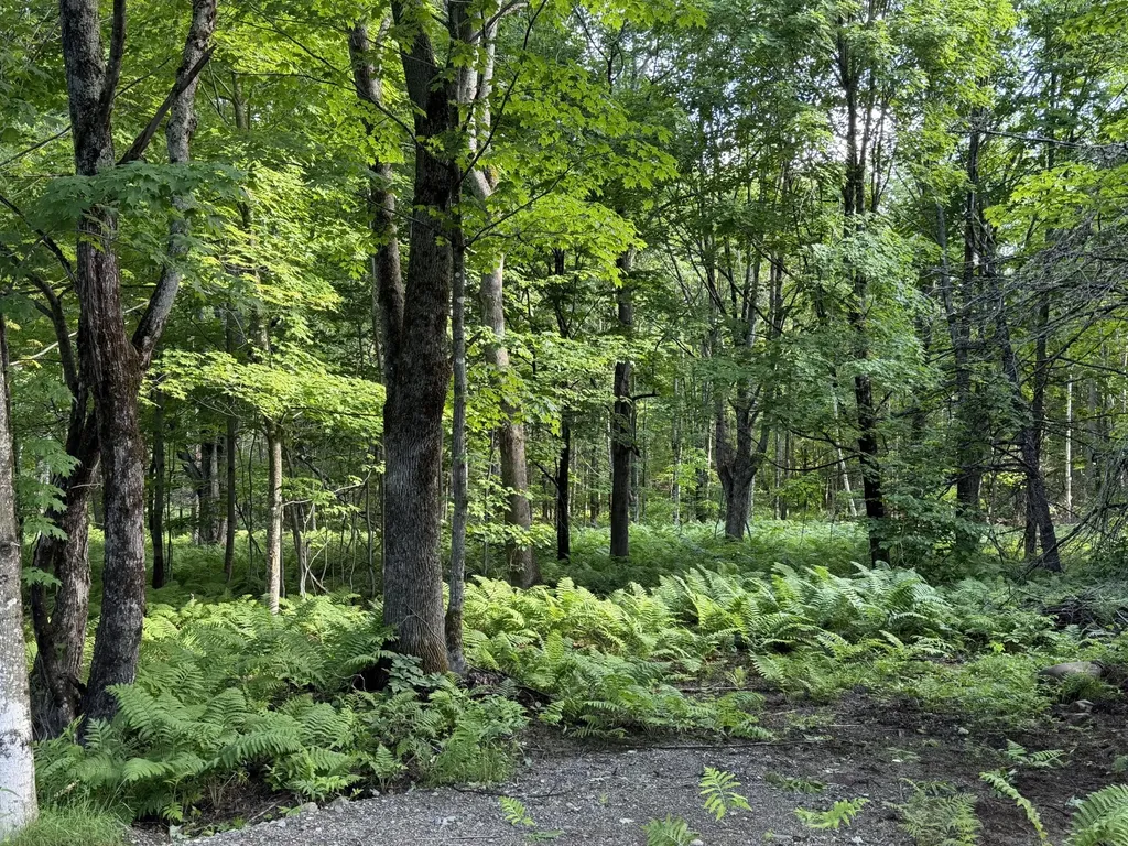 47 Greenville Road Shirley ME 04485