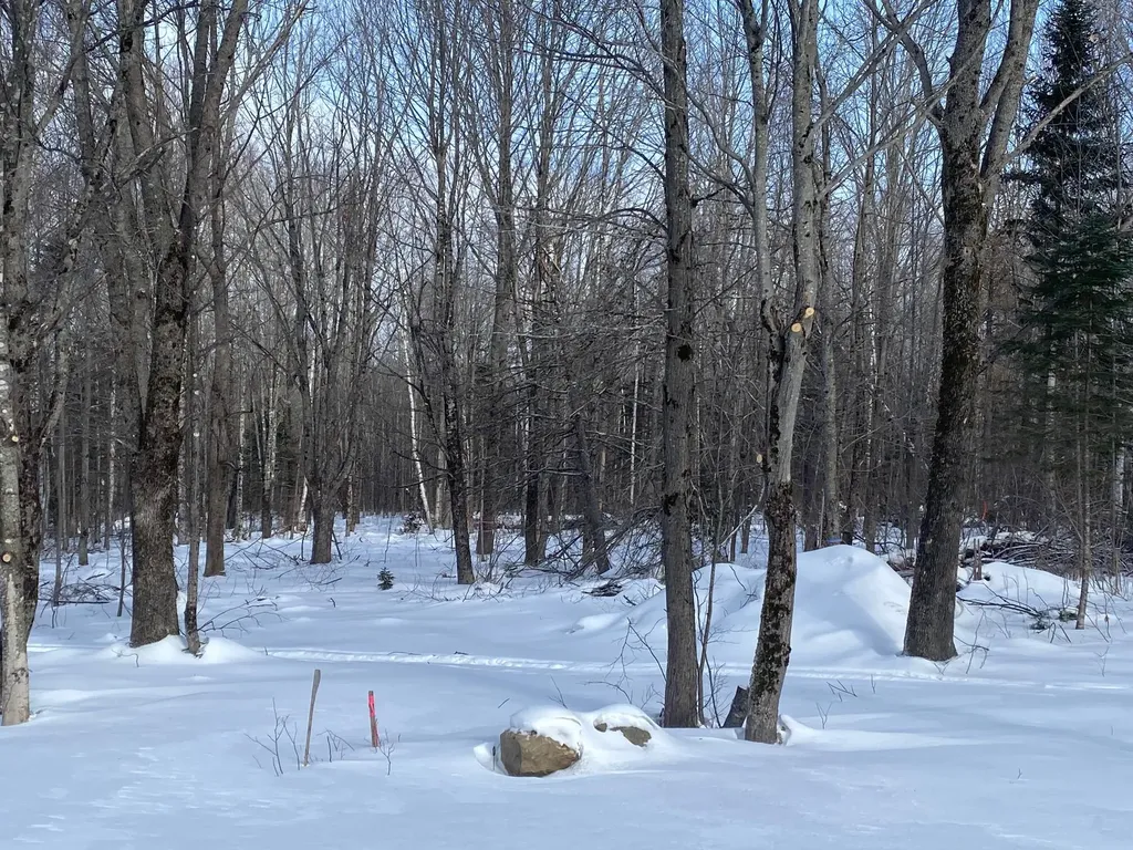 47 Greenville Road Shirley ME 04485