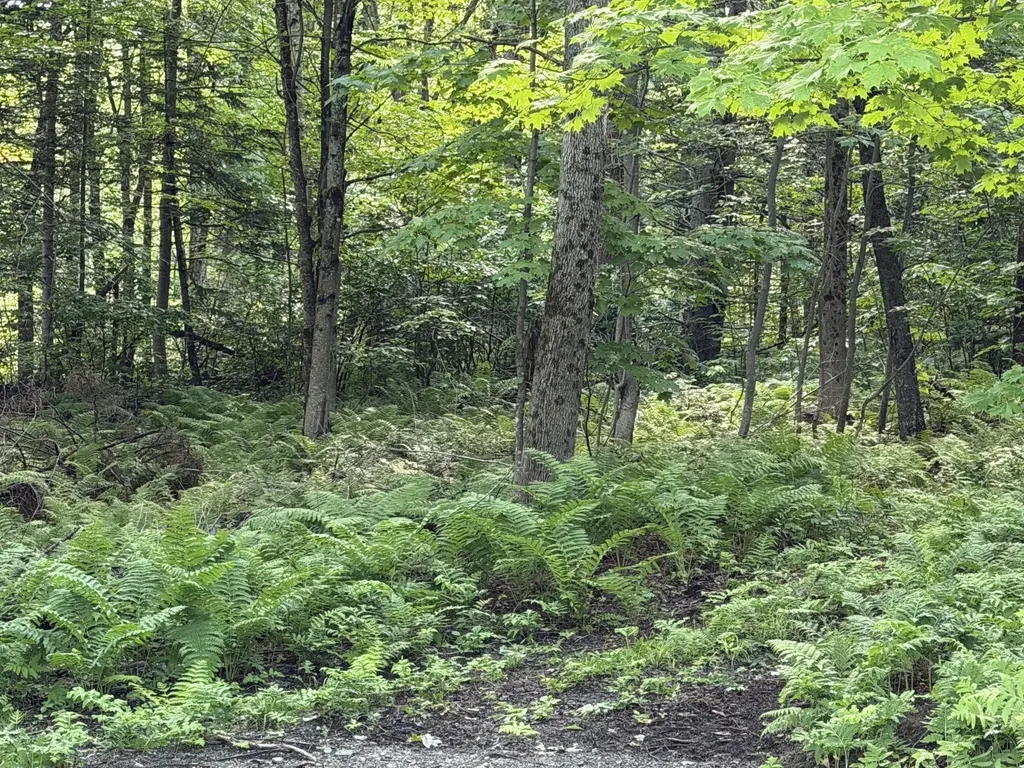 47 Greenville Road Shirley ME 04485