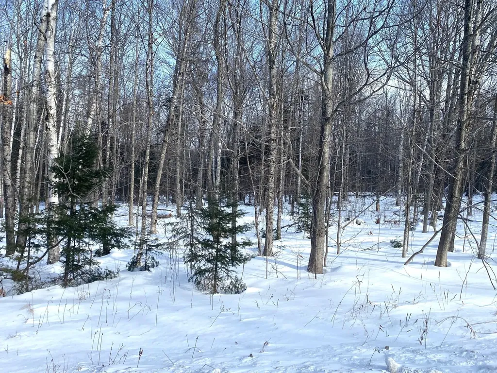 47 Greenville Road Shirley ME 04485