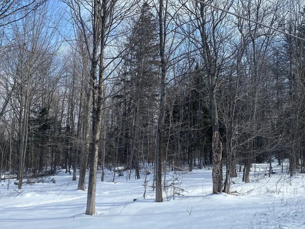 47 Greenville Road Shirley ME 04485