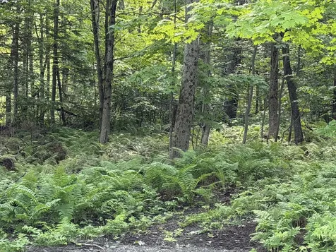 47 Greenville Road Shirley ME 04485