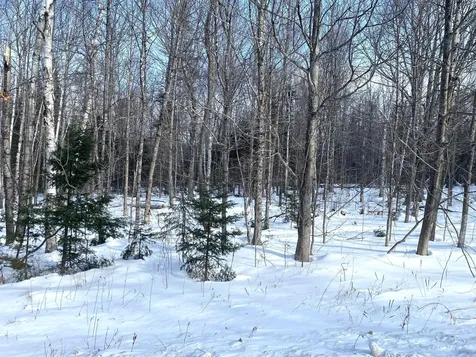 47 Greenville Road Shirley ME 04485