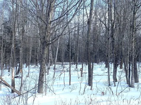 47 Greenville Road Shirley ME 04485