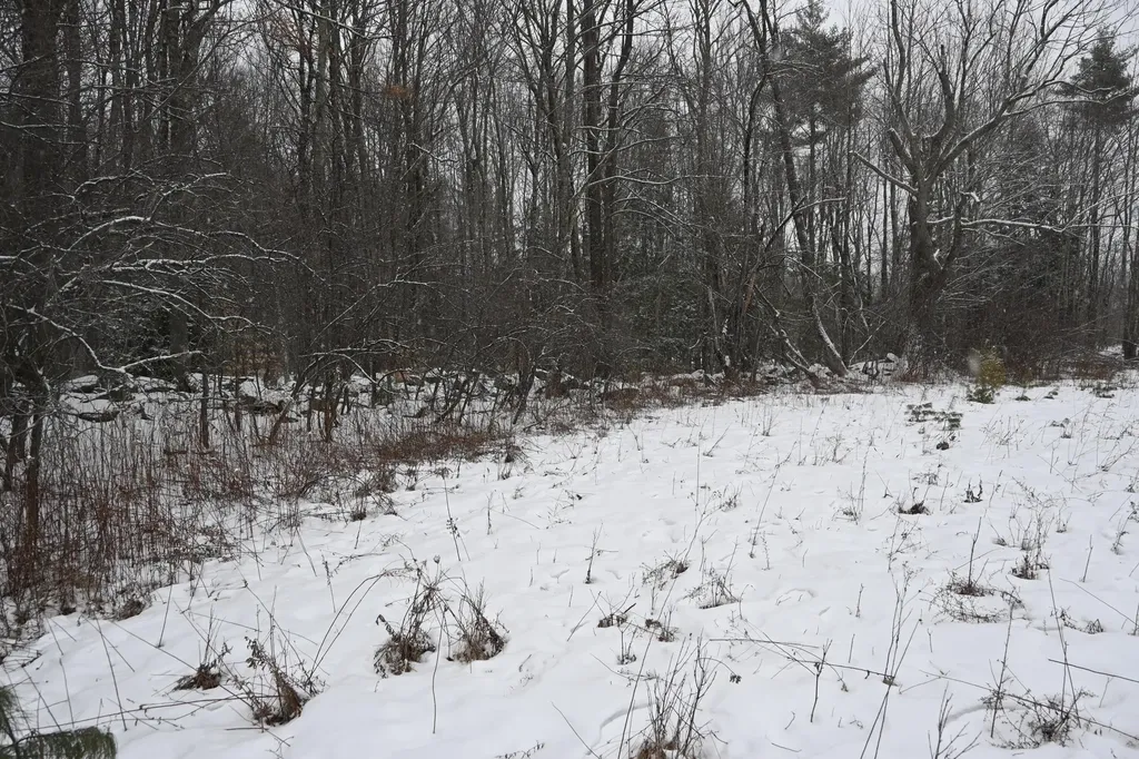 20 Copper Ridge Road Greene ME 04236