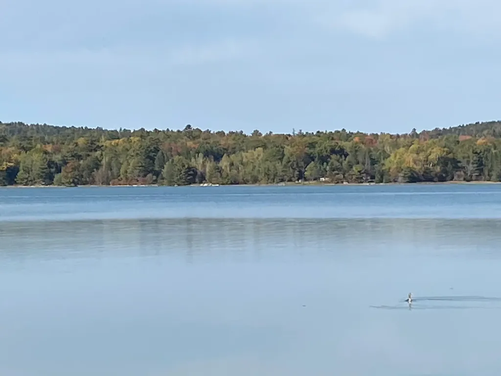 0 S Bay Road Franklin ME 04634