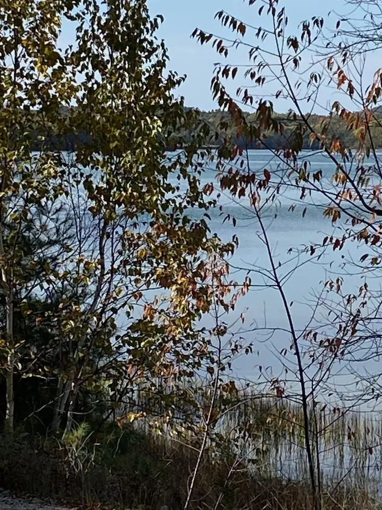0 S Bay Road Franklin ME 04634