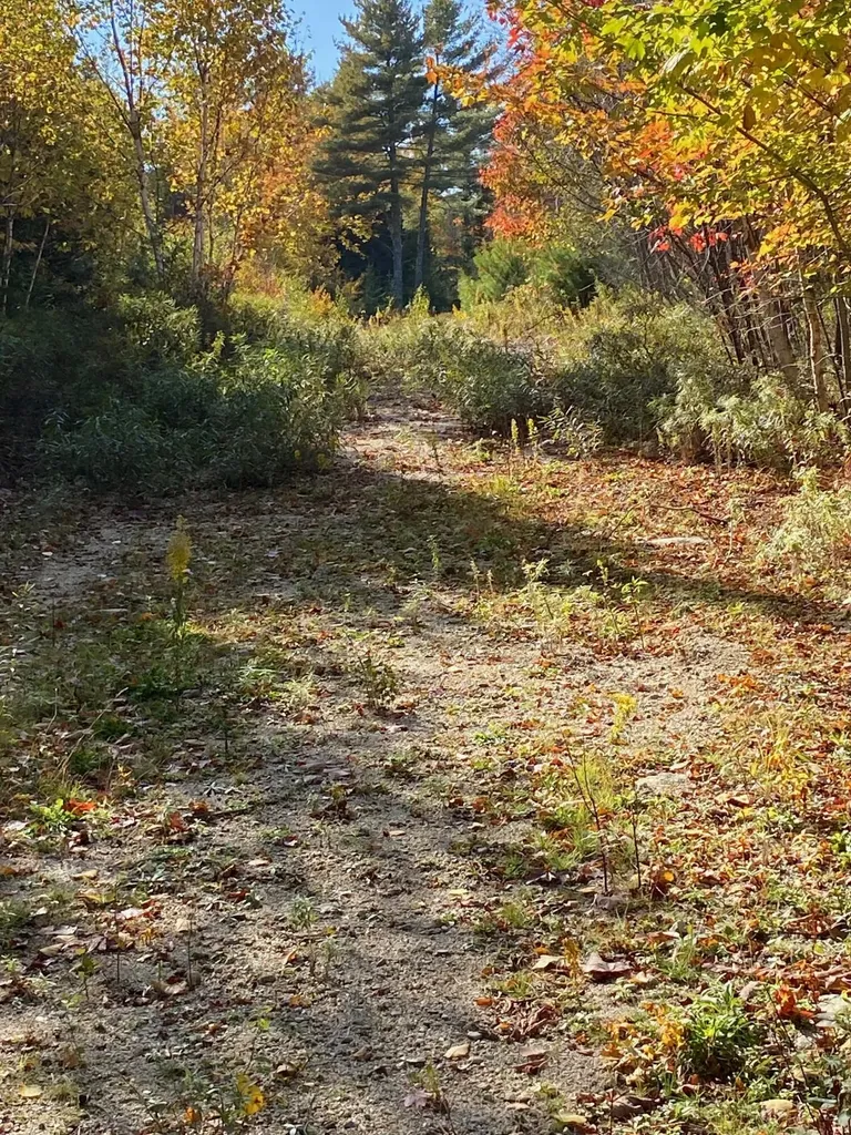 0 S Bay Road Franklin ME 04634