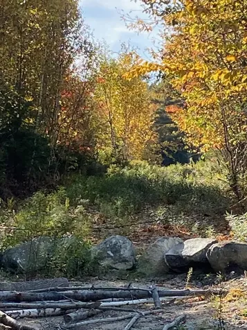 0 S Bay Road Franklin ME 04634