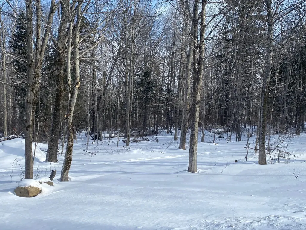47 Greenville Road Shirley ME 04485
