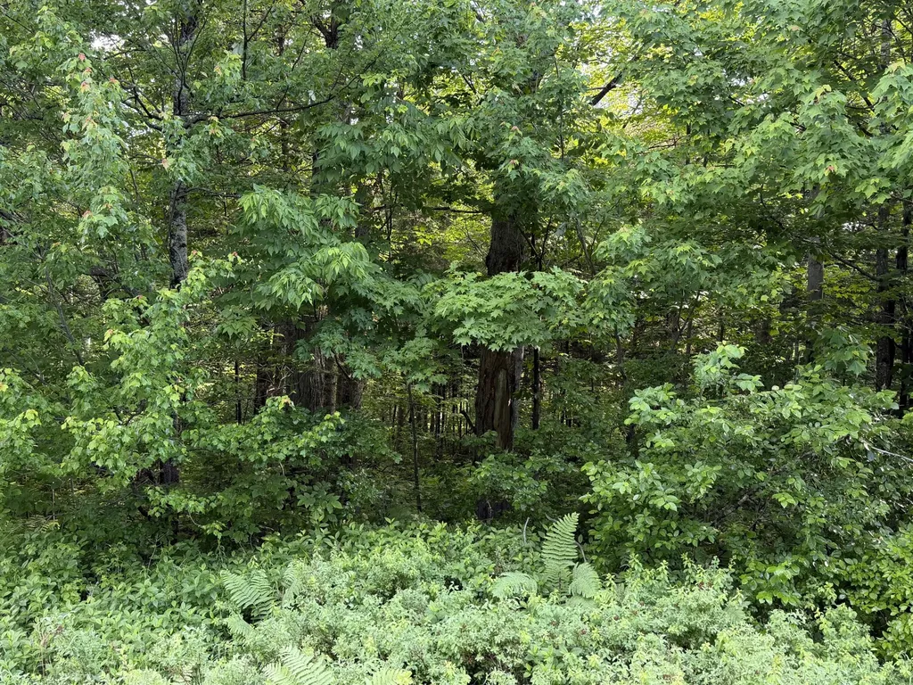 47 Greenville Road Shirley ME 04485