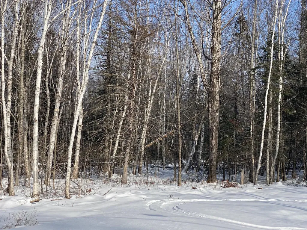 47 Greenville Road Shirley ME 04485
