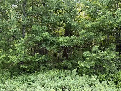 47 Greenville Road Shirley ME 04485