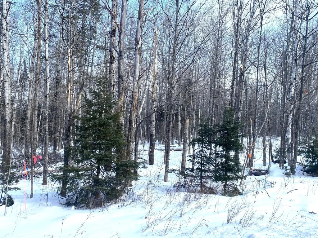 47 Greenville Road Shirley ME 04485