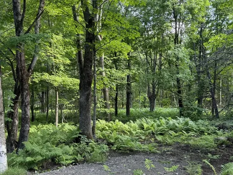 47 Greenville Road Shirley ME 04485