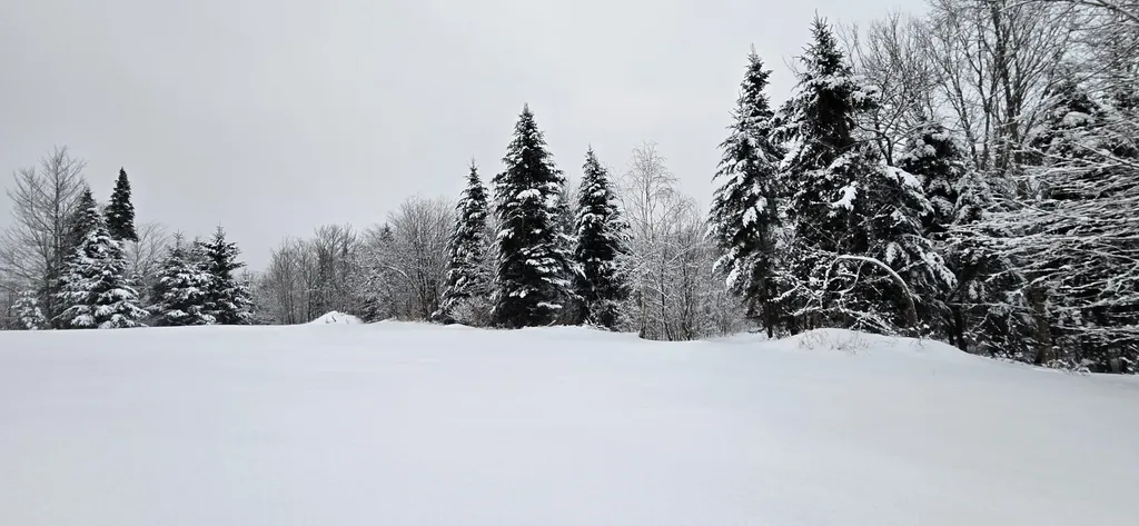 M31&M27 L10, 11 & 3 Madawaska ME 04732