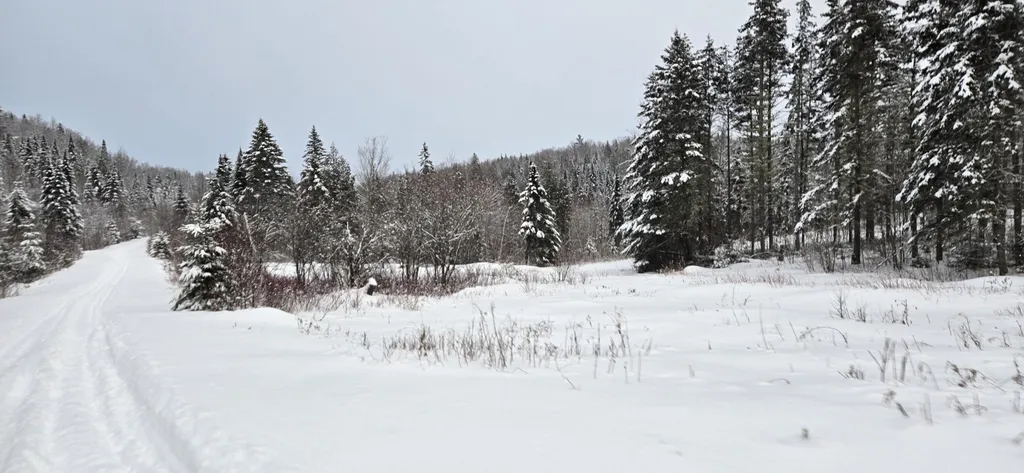 M31&M27 L10, 11 & 3 Madawaska ME 04732
