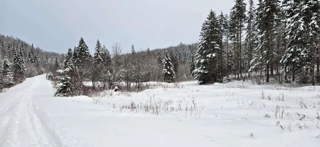 M31&M27 L10, 11 & 3 Madawaska ME 04732