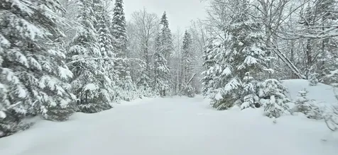 M31&M27 L10, 11 & 3 Madawaska ME 04732